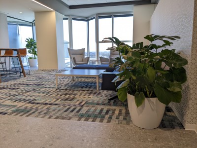 plants in office lounge
