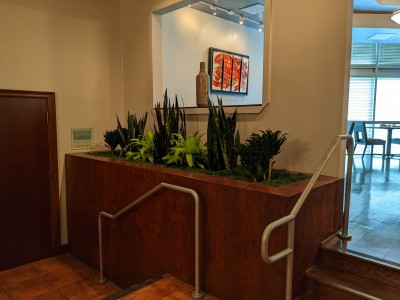 plants in built in planter box at restaurant